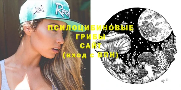марки lsd Краснослободск