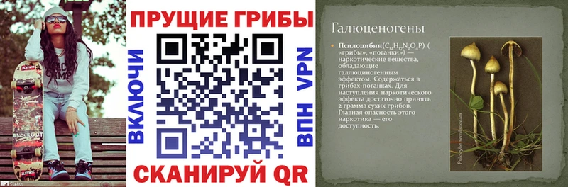 Псилоцибиновые грибы Magic Shrooms  Купить закладки  Горячий Ключ 