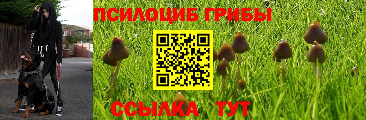 Псилоцибиновые грибы Cubensis  Вход с VPN  Галлюциногенные грибы MAGIC MUSHROOMS  Горячий Ключ 